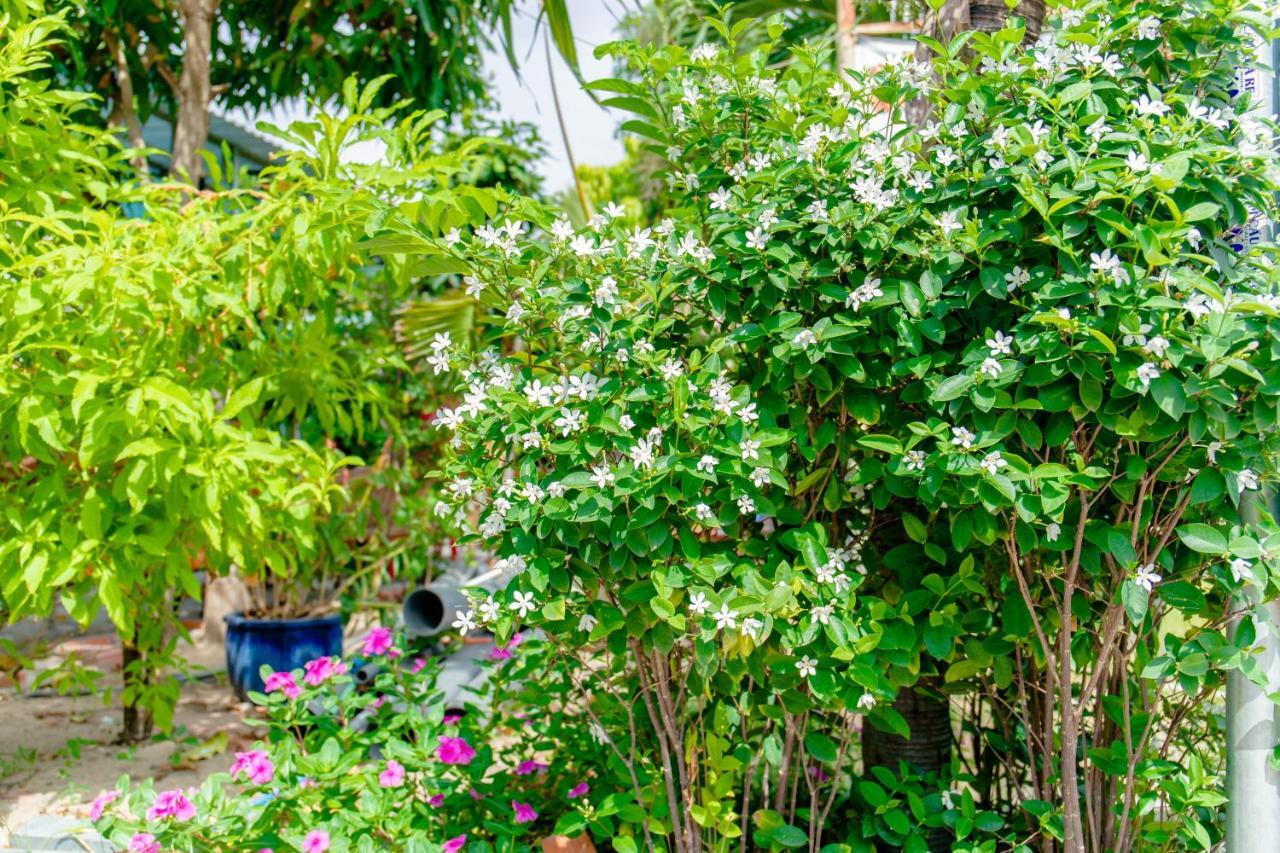 Song Huong Hotel Mui Ne Exterior photo